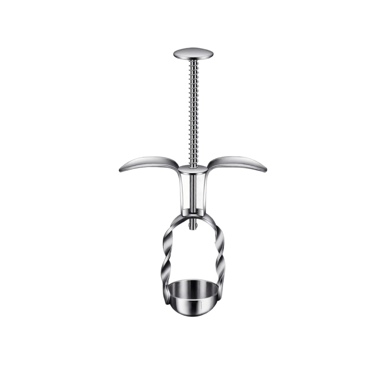 เครื่องมือเอาเมล็ดพุทราแดงสแตน - Kitchen Gadgets Kitchen บทวิจารณ์และราคา